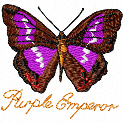 Butterfly Embroidery Design 5